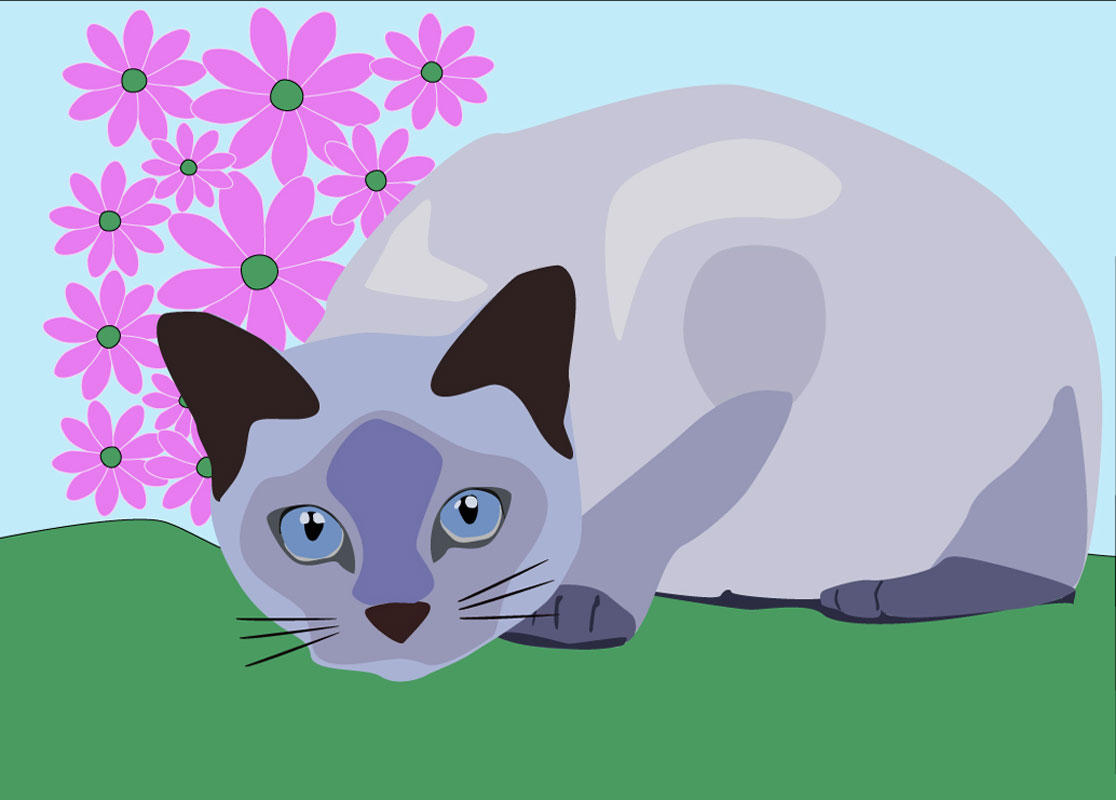 Bezier Cat
