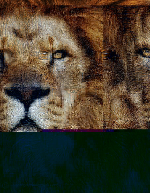 Glitch Art